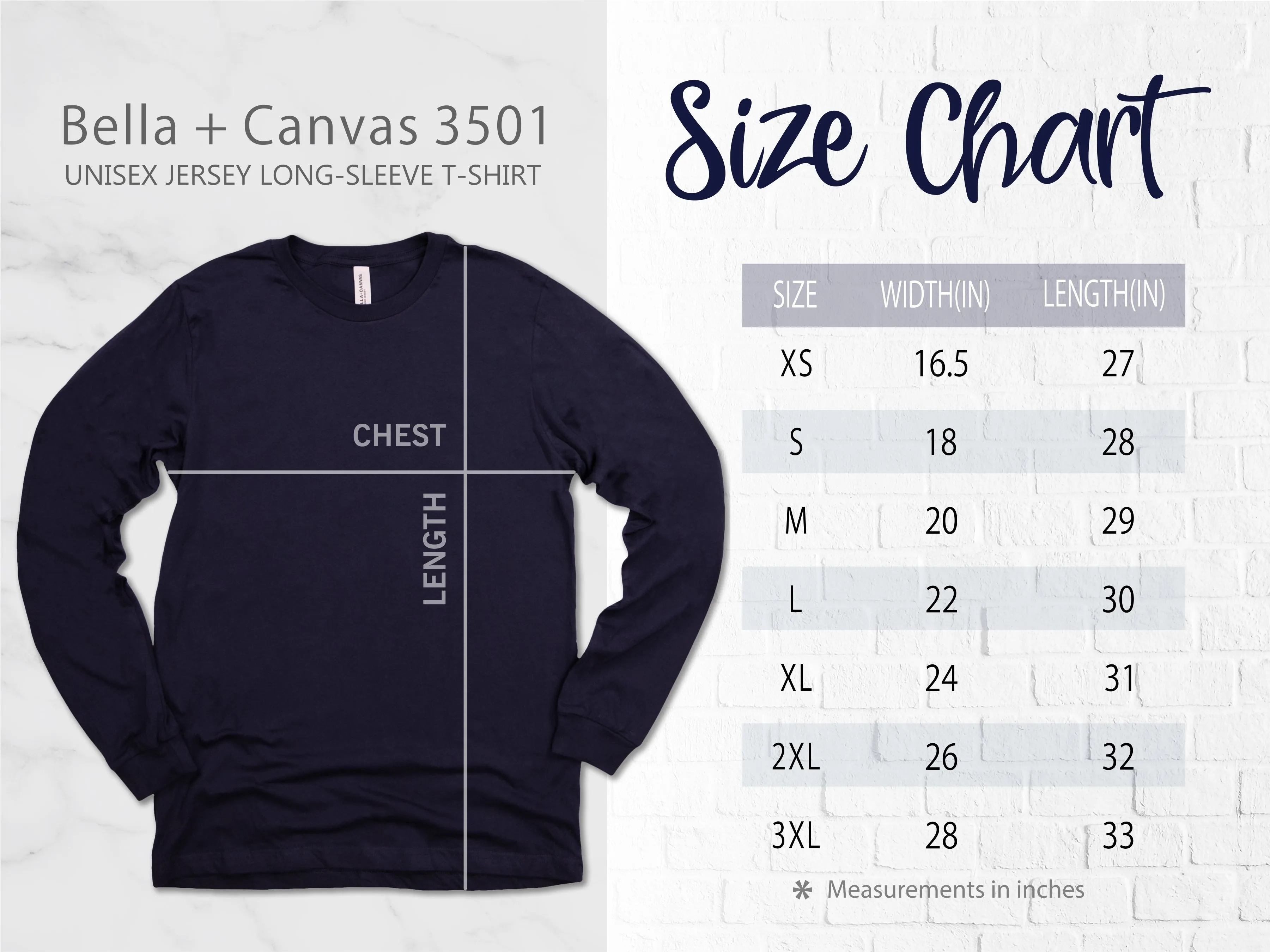 Fall | Long Sleeve T-Shirts