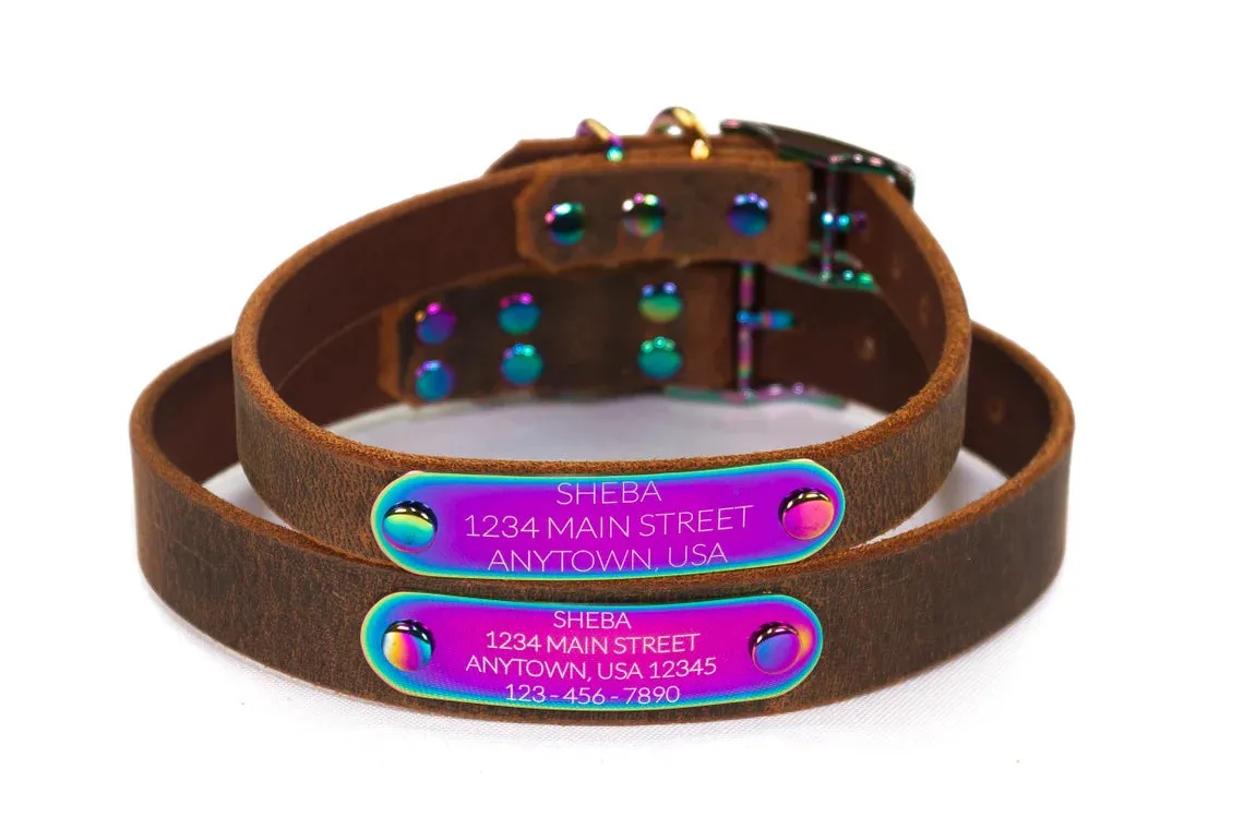 Leather Dog Collar - Rainbow Metal Nameplate   Hardware