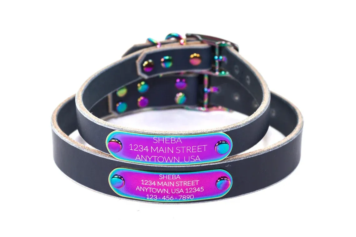 Leather Dog Collar - Rainbow Metal Nameplate   Hardware