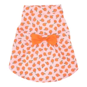 Peachy Keen Dog Dress