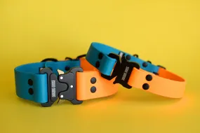 PREMADE COLLECTION - Lagoon & Mango with Black Biothane Dog Collar