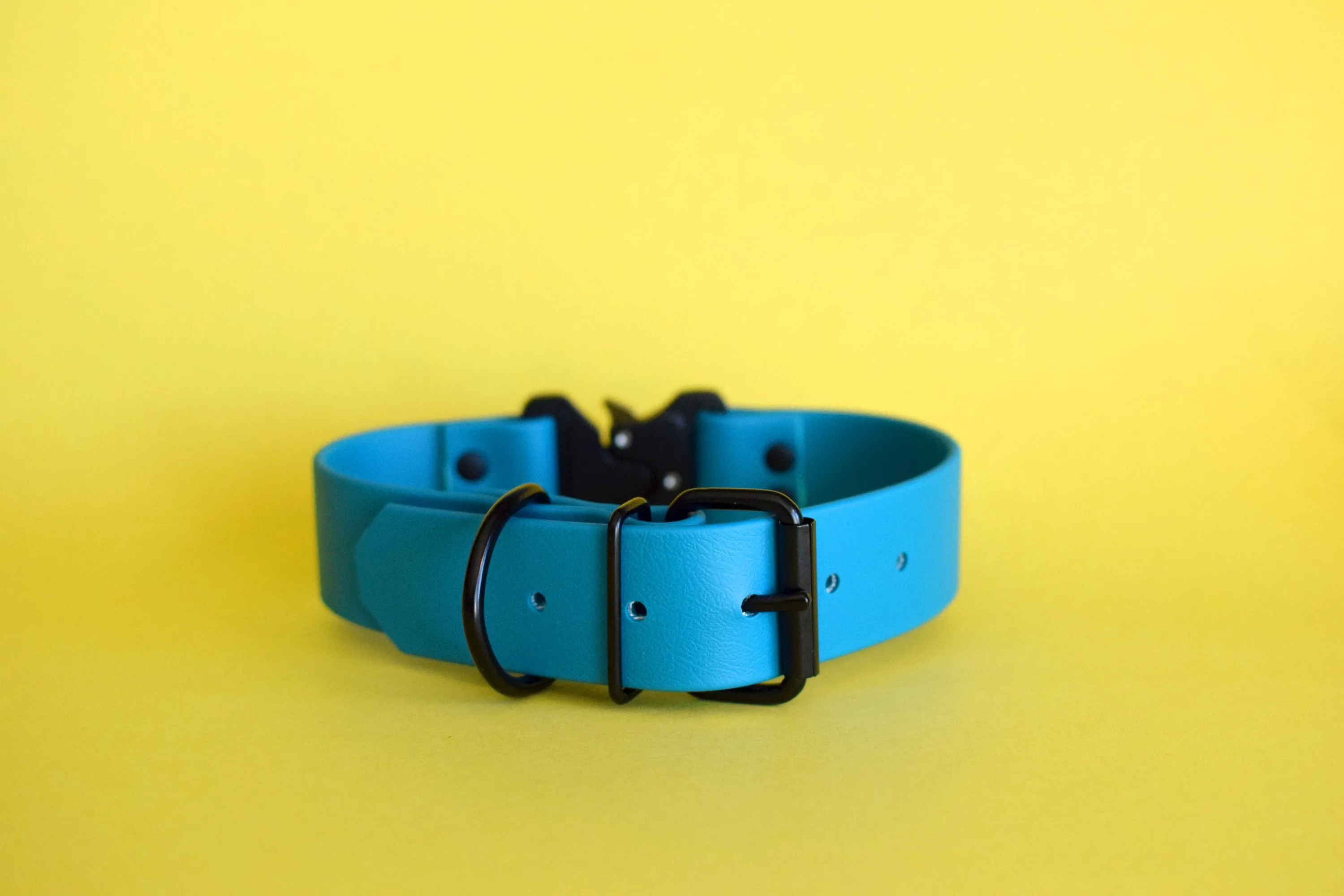 PREMADE COLLECTION - Lagoon & Mango with Black Biothane Dog Collar