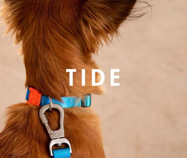 Zee.Dog Tide Collar